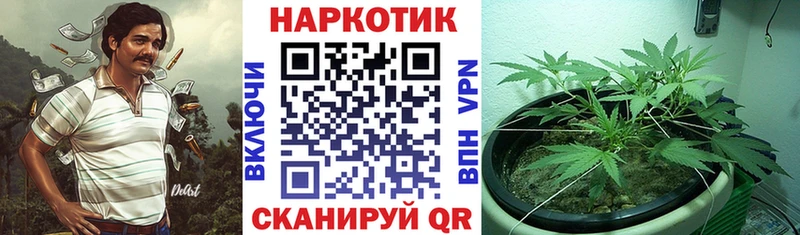 Купить Борзя ГАШ Канабис АМФ Меф мяу мяу Cocaine