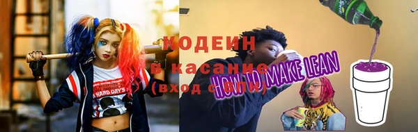 хмурый Киренск
