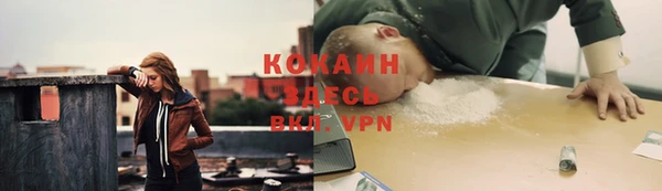 кокс Кинешма