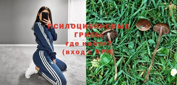 MDMA Козловка
