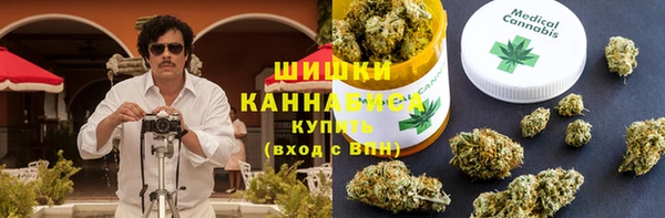 spice Козельск
