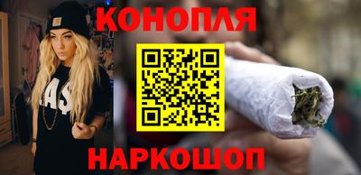 дмт Бийск