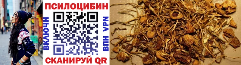 blacksprut ссылки  Борзя  Псилоцибиновые грибы GOLDEN TEACHER  купить закладку 