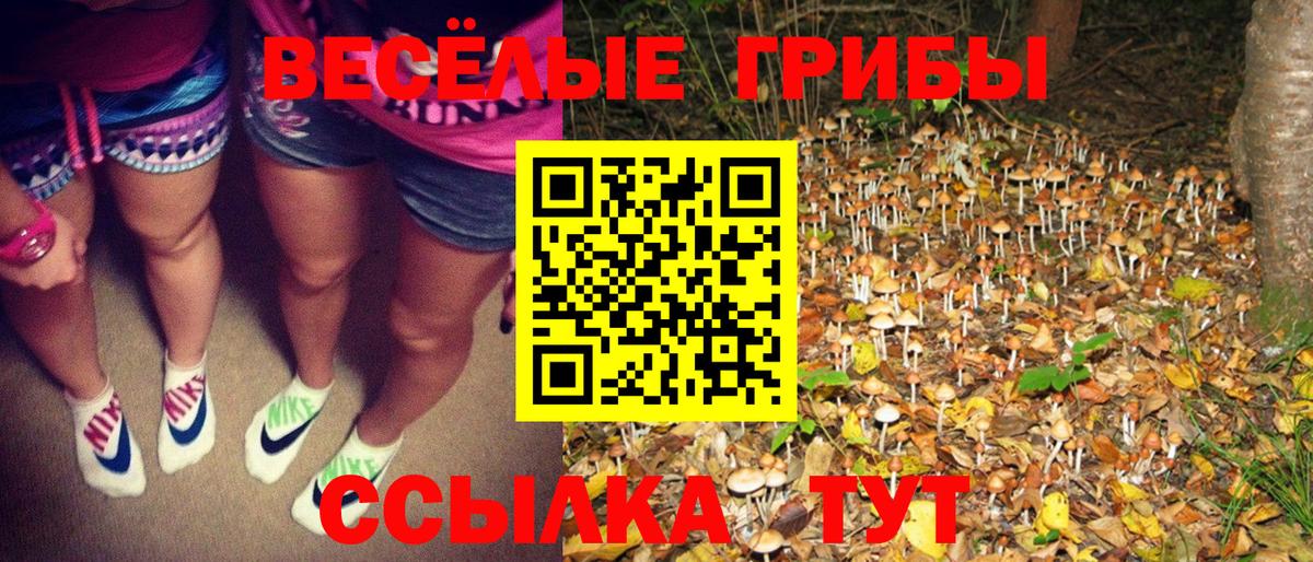 Псилоцибиновые грибы Psilocybine cubensis  Галлюциногенные грибы Psilocybe  Борзя 