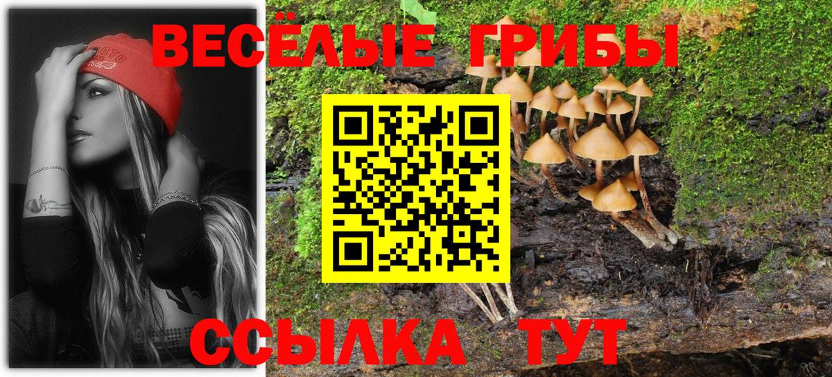 Галлюциногенные грибы мицелий Борзя
